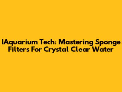 IAquarium Tech: Mastering Sponge Filters For Crystal Clear Water
